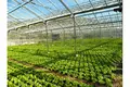 Produktion 3 060 m² Kastel Stafilic, Kroatien