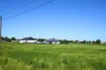 Wohnung 750 m² Oblaczkowo, Polen