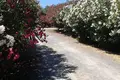 Вилла 5 спален 470 м² Ferreira do Alentejo, Португалия