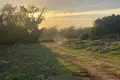 Коммерческое помещение  Черногория, Черногория