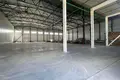 Warehouse 1 432 m² in Fanipalski sielski Saviet, Belarus