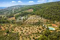Земельные участки 8 500 м² Municipality of Sithonia, Греция