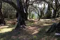 Land 1 room  Agii Deka, Greece