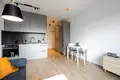 Студия 30 м² в Кракове, Польша