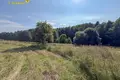 Дом 76 м² Путчинский сельский Совет, Беларусь