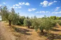 Atterrir 16 728 m² Neos Marmaras, Grèce