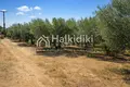 Parcelas 2 074 m² Agios Mamas, Grecia