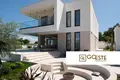 Haus 4 zimmer  Opcina Dezanovac, Kroatien