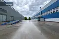 Gewerbefläche 3 331 m² in Alitten, Litauen