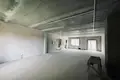 Commercial property 147 m² in Fanipal, Belarus