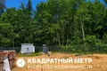 Land  Kalodziscanski sielski Saviet, Belarus
