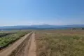Land  Tbilisi, Georgia