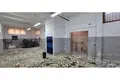 Warehouse 3 rooms 400 m² in Tirana Municipality, Albania