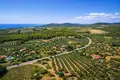 Parcelas 3 675 m² Neos Marmaras, Grecia