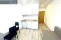 Wohnung 1 zimmer 18 m² in Kaunas, Litauen