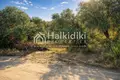 Земельные участки 2 510 м² Амолиани/Амулиани/Амульяни/Аммулияни, Греция