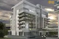 Developer project