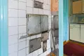 House 46 m² Papiarnianski sielski Saviet, Belarus