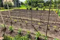 Dom 5 pokojów 160 m² Dobricz, Bułgaria