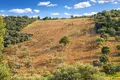 Land 13 380 m² Kassandrino, Greece