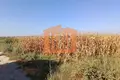 Działki 5 000 m² Bashkia Durres, Albania