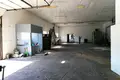 Commercial property 2 127 m² in Bachorza, Poland