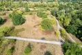 Land 1 room 3 902 m² Otwock, Poland