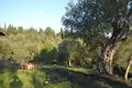 Land 1 room  Municipality of Central Corfu and Diapontia Islands, Greece