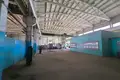 Zakład produkcyjny 4 619 m² w Krzyczew, Białoruś