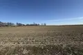 Land 2 528 m² Czechy, Poland