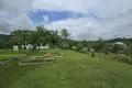 Дом 49 м² Олехновичи, Беларусь