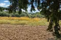 Parcelas 6 000 m² Kassandrino, Grecia