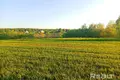 Дом  Озерицко-Слободской сельский Совет, Беларусь