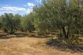 Parcelas 2 074 m² Nea Triglia, Grecia