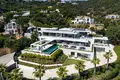 Villa 8 bedrooms  San Pedro Alcantara, Spain