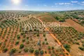 Parcelas 5 035 m² Nikiti, Grecia