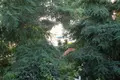 Chalet 240 m² Ormylia, Grèce