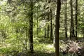Atterrir  municipalnyj okrug Istra, Russie