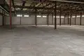 Gewerbefläche 3 331 m² in Alitten, Litauen