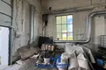Zakład produkcyjny 338 m² w Smolewicze, Białoruś