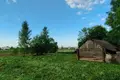 Haus 64 m² Sieleucy, Belarus