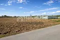 Parcelas 10 000 m² Nea Kallikrateia, Grecia