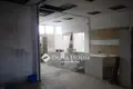 Gewerbefläche 437 m² Kreis Szolnok, Ungarn