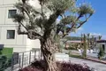 Wohnung 1 Schlafzimmer 53 m² Mittelmeerregion, Türkei
