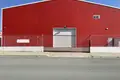 Lager 2 400 m² in Aradippou, Zypern