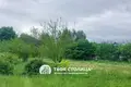 House 30 m² Haranski sielski Saviet, Belarus