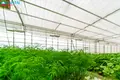Commercial property 960 m² in Luknes, Lithuania