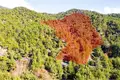 Atterrir  Moniatis, Chypre