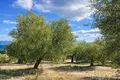 Atterrir 10 941 m² Kassandrino, Grèce