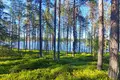 Działki  Sinetta, Finlandia
